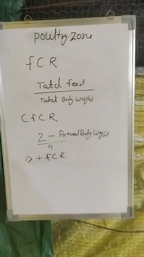 CFCR Calculate