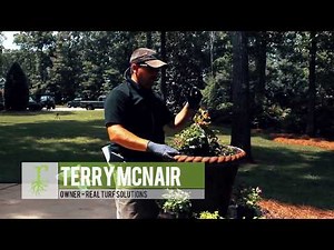 Annual Flower Planting and Design