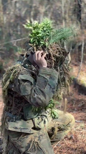 The Evolution of Military Camouflage Patterns #military
