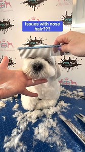 420K views · 1.9K reactions |  UNWANTED NOSE HAIR?! Yep, floofs get...