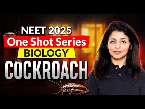 Complete Cockroach in One Shot 🔥| Tina Ma'am I NEET 2025 I Mission 720/720 I Motion NEET #biology