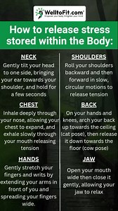 3K views · 6.3K reactions | Feeling tense? Learn simple techniques to release stress stored in your body and find calm in just a few minutes! From deep breathing to gentle stretches, these tips will help you unwind and reset anytime, anywhere. ‍♂️✨ #StressRelief #BodyMindBalance #WellnessJourney #ReleaseTension #SelfCareTips #MindfulMoments, #WellToFit | WelltoFit | Facebook