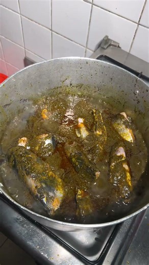 Comment préparer le bongo étape par étapes