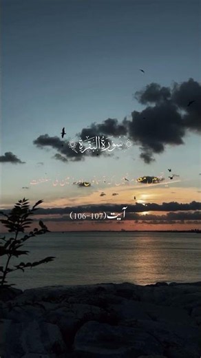 Surah Al Baqarah with Urdu Translation #quranictranslation #languagetranslation