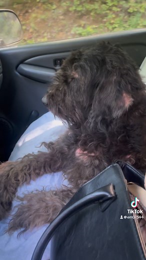 Part 2 of ride home, showing where she was living 😭😭 | Emily F Thompson