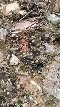 The legend of the Apache Tears.