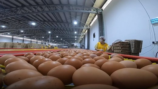 Calls to change eating habits and overhaul food supply chain to cut Singapore's food waste