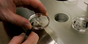 American Scientists Successfully Edited Faulty Genes In Human Embryos. Is That Ethical? | Fortune