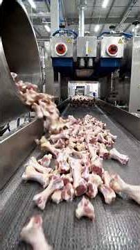 Animal Bone Processing Factory | Amazing Bone Recycling Process