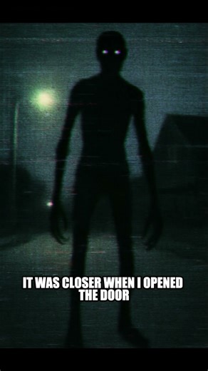 It Followed Me Home… | File 05