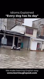 14K views · 109 reactions | Every Dog Has Its Day - This idiom means...