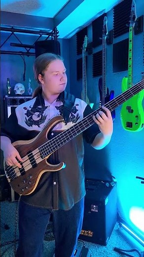 Blue Oyster Cult - (Don't Fear) The Reaper (Cover) #ibanezbass #music #bassguitar #viral #fyp #music