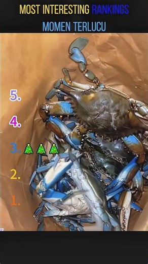 TOP5 MOMEN TERLUCU #funny #funnyvideos #comedy #viral #memes #lol #haha #laugh #funnymoments#top