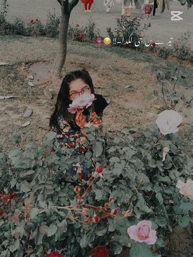 Tara Ra ya vari Java 💞🦋😌🌹🥰🥀💖 for you ✨💗💕✨🦋💖 shout