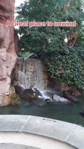 Need a place in Las Vegas to unwind? Check out the flamingo habitat on the back side of flamingo. Enjoy the habitat and the relaxed vibe! #relax #flamingo #lasvegas #vegasstrip #vacations