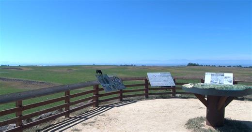 Spring wildflower bloom brings locals to North Table Mountain Ecological Reserve