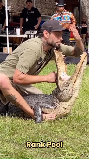 Normal Reflexes vs King of Reflex