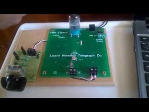 Lizard valve radio kit