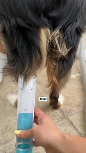 HOLIDAY SAVINGS are Here!  Save up to 40% + Free Gifts! Give your...