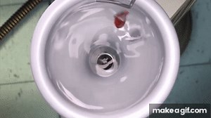 Finding Nemo  flush on Make a GIF