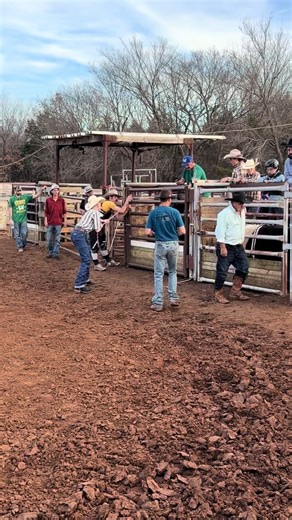 #bullridin #bullridingwrecks #cool #buull #2025 | Bull Riding