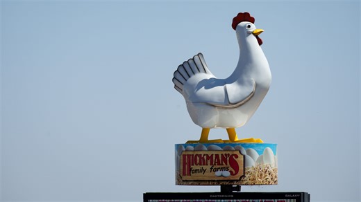Massive bird flu outbreak hits Hickman's in Arizona: What's next for the egg supplier