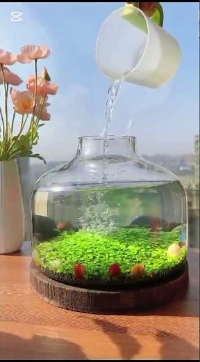 How to design an aquarium in the bowl? Added beautiful fishes.