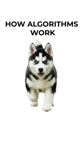 How Algorithms Control Your Brain (Explained by Dogi)