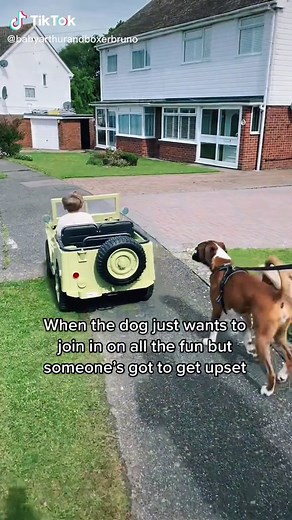 The crying 😬 #boxerdogsoftiktok #dogsoftiktok #boxerdog #babyanddog #fyp #foryourpage