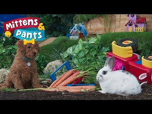 Teaser ALL- NEW Season | Pet Shows For Preschool | Mittens & Pants