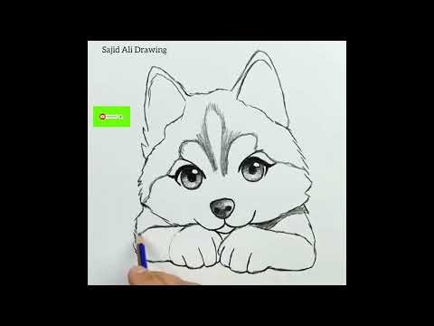 How to draw a wolf || Easy wolf drawing for beginners || Step by Step