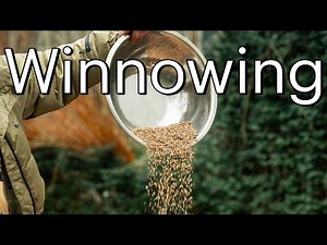 Winnowing - How to Clean You Seeds