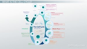 You must c C reate an account to continue watching