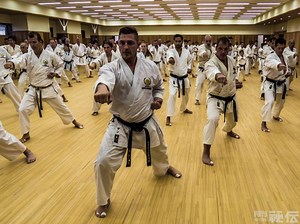 305K views · 2K reactions | [Japan Karate Shoto Federation...