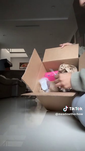 Exciting Unboxing of Chow Chow Puppy Goodies