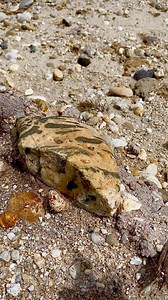 6.5K views · 45 reactions | Digging up $999 worth of rocks, on a cliff from a former gold mine. #digging #rocks #goldmine #gemstone #digginggemstone #menggalibatu #huntinggear #freedom #photography | The GemsHunter | Facebook