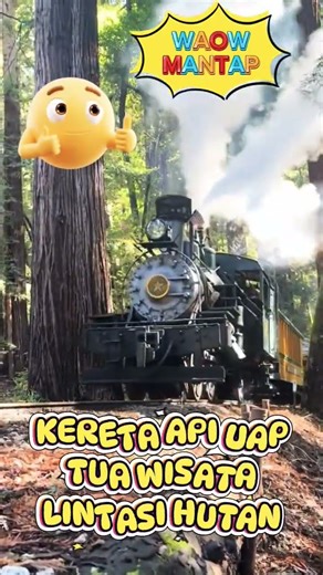 WAOW! SEMBURAN ASAP! Kereta Api Uap Wisata Berderuh Lintas Hutan!