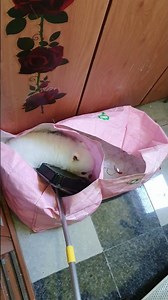 지금생각해도 이러고 있는 넌 너무 사랑스럽고 이뿌다...