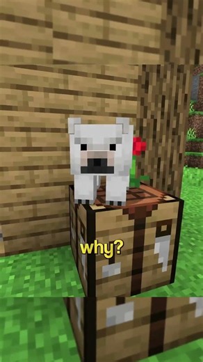 #minecraftsurvivalseriesepisode1