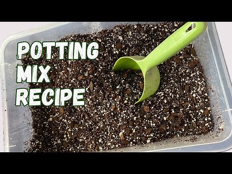 HOW TO MAKE Soilless Potting Mix For Indoor Plants