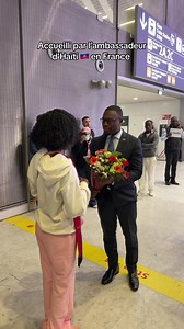 Ambassadeur d'Haïti à Paris : rencontre et accueil