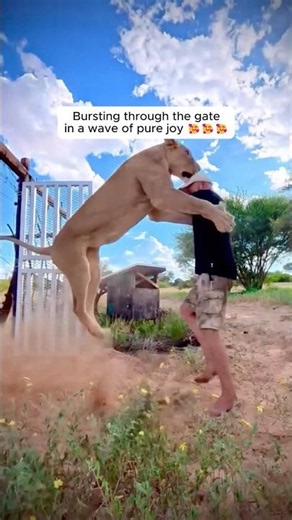 When animals are finally reunited with the human they love