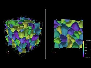 Phase field simulation of grain growth in polycrystal