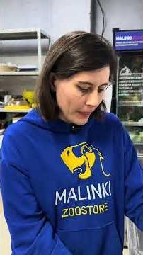 Tgk: Zoostore_Malinki