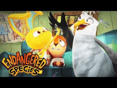 NEW! Pickle Says... Relax! | Endangered Species - WildBrain | Full Episodes for Kids