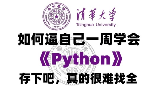 【600集Python教程】26年B站最好的零基础python入门教程（含爬虫+数据分析），逼自己五一假期学完，你的Python技术就牛了！全程干货无废话！