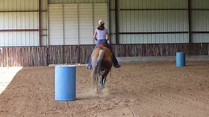 28K views · 297 reactions | Rate and collection tip from Tami Semas on HORSEpro! Tami’s training episodes of Principles of Barrel Racing air every Thursday at 6 CST www.horsepro.tv Please help us grow our community by sharing | HORSEpro.tv | Facebook