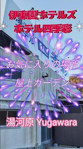 ホテル四季彩 伊東園ホテルズ 屋上ガーデン #伊東園ホテルズ #伊藤園ホテル #ホテル四季彩 #湯河原 #湯河原温泉 #yugawara #onsen #温泉旅行 #温泉 #温泉女子 #温泉 女子