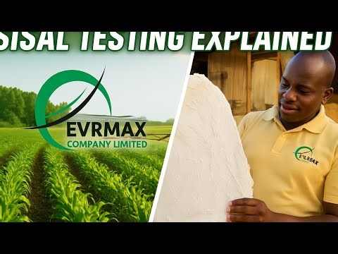 UG Grade Sisal Testing Explained 🔬 | How Evrmax Sets Global Quality Standards 🌍✨