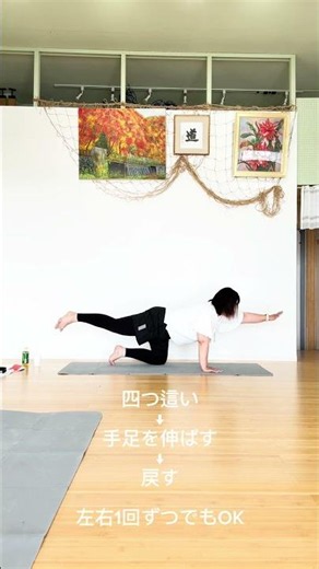 姿勢を整えるやさしいバードドッグ🌿｜頑張りすぎない体幹トレーニング